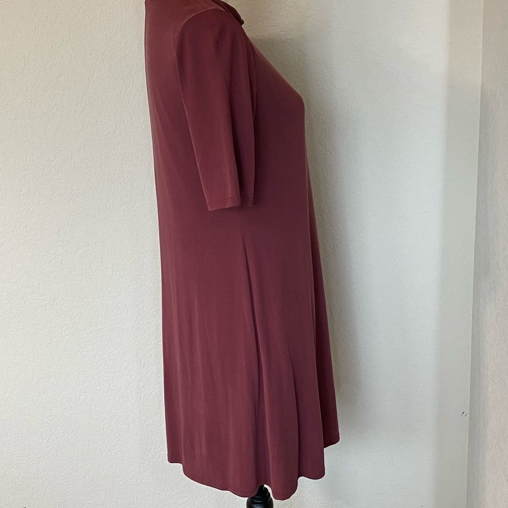 dear apple Shift Dress - Picture 7 of 8